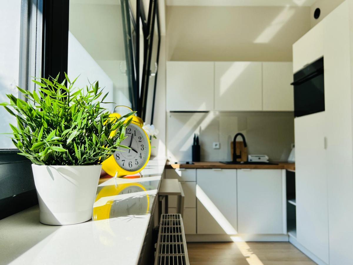 Cozystudio With Sauna Kraków Eksteriør billede
